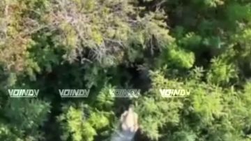 Гвардейцы 14 отдельной бригады спецназа группировки войск "Восток" продолжают непрерывную охоту на живую силу противника на Запорожском направлении