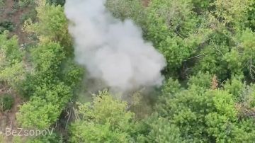������ ��������: #���������. ������ ������ ���������� ������� ���� ����������� ������� �� ����������� ������ � ���� ��� � ����������� �������