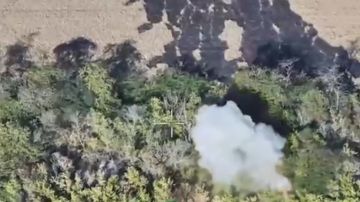 ��������� ���� �������� ������� �������� ������������� ��� � ����������� �������
