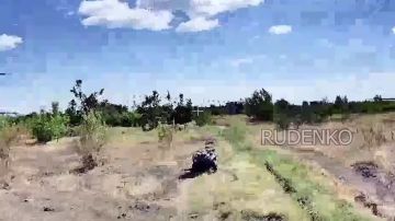 ������ �������: ��������� ������� ���� �������������� ����������� �������� ������� ���������� � ��������� ��� �� ���������� ����������� � ����������� �������