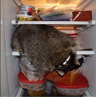Доброе утро, друзья! Хорошего вам дня и отличного настроения!