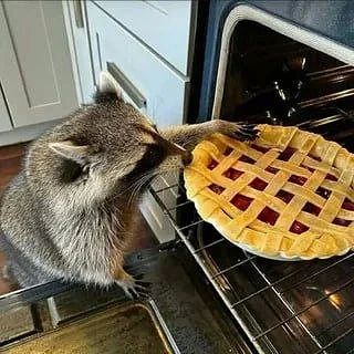 ������ ����, ������! �������� ��� ��� � ��������� ����������!