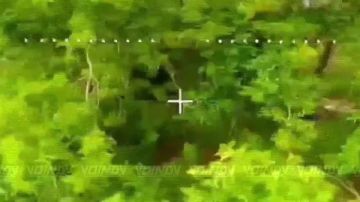 ��������� ���� 37 ��������� ����������� �������������� ������� 36 ����� ����������� ����� "������" �������� ����� ���� ��� �� ����������� �����������