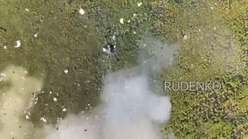 ������ �������: ������ ���������� ��������� ����������� ������� �������� ����� ����������� ������� ��� � ����������� �������
