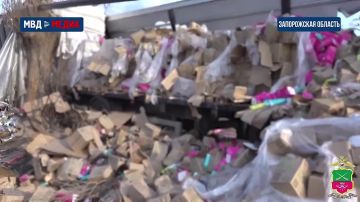Полицейские в Запорожской области раскрыли кражи из попавших в ДТП грузовиков