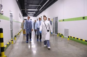 ������ �����������: ��������� ������ � ����������� �������