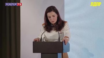 «Цена мигранта...». ЛДПР предлагает провести полный аудит финансовых затрат государства, которые идут из бюджета семьям мигрантов, включая расходы на детей