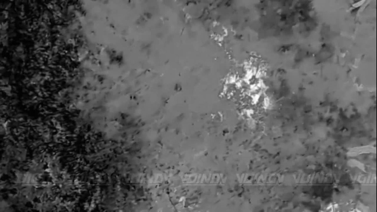 Подразделения 36 гвардейской общевойсковой армии группировки войск "Восток" продолжают сокращать численность живой силы ВСУ на Запорожском направлении