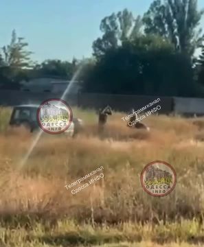 ������ ������ �� ��� ������ ����� ������ ������������ ���������� �������� � ��������-������������