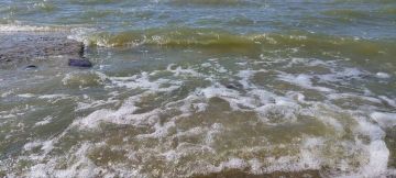 � �������� ���� ����� ����� ����������� ����� ����� ���