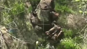 Операторы БпЛА 1461 мотострелкового полка 36 армии группировки войск «Восток» делятся результатами охоты на живую силу ВСУ на Запорожском направлении