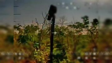 ��������� ���� 394 ������������ ����� 127 ������� 5 ����� ����������� ����� "������" ������� ����� �� �������� �������� �������� ������� ���������� �� ����������� �����������