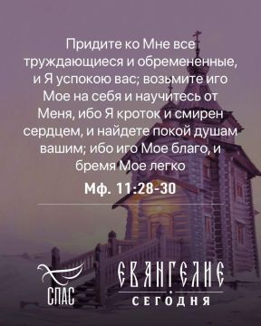 Анна Хорошун: Евангелие от Матфея. Глава 11