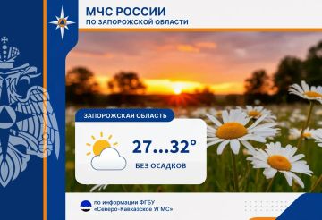 � 12 �� 13 �������� �� ���������� ������� ���������: