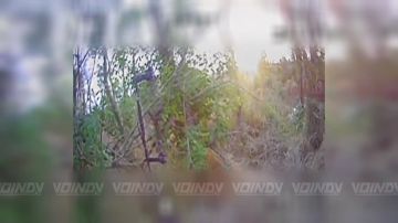 ��������� ���� 218 ������������ ��������� ����� 127 �������������� ������� ����������� ����� ������� �������� ������ ����������� ������ ���������� �� ����������� �����������, ��������� ������� ���