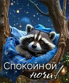 Доброй ночи, дорогие подписчики! Доброй ночи, Запорожье!
