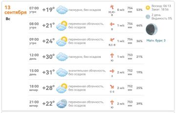������ � ���������� 13 ��������: