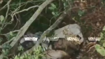 ��������� ���� 37 ��������� ����������� �������������� ������� ����������� ����� "������" ���������� ����� ���� ���������� �� ����������� �����������