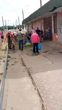 ��� ������������ ���������� "�����������" � ��������