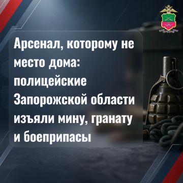 Арсенал, которому не место дома: полицейские Запорожской области изъяли мину, гранату и боеприпасы
