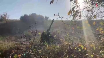 �� �� ���������� ������������� � ����������� ������� � ����� ��� �������� ������� � �����������, �������� ����������