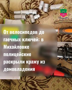 От велосипедов до гаечных ключей: в Михайловке полицейские раскрыли кражу из домовладения