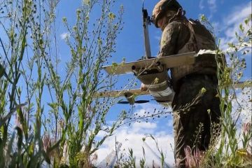 Замаскированные опорные пункты ВСУ поразили в Запорожской области