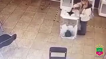 ������� ���� ������ � ������� ��������