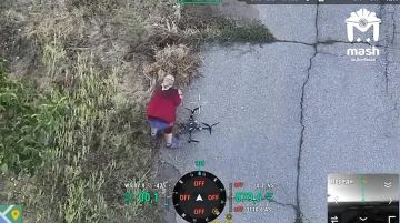������� ������� ����������� ���� �� ����������� �����������