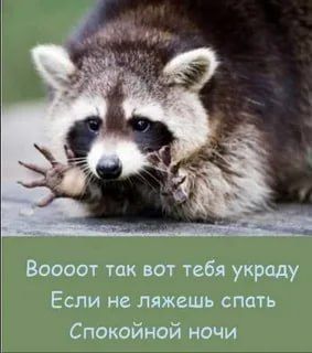 ������ ����, ������� ����������! ������ ����, ���������!