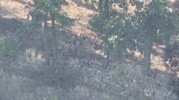 Ликвидация живой силы противника на одном из участков СВО