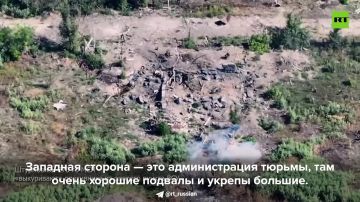ВС РФ продвигаются на Ореховском направлении
