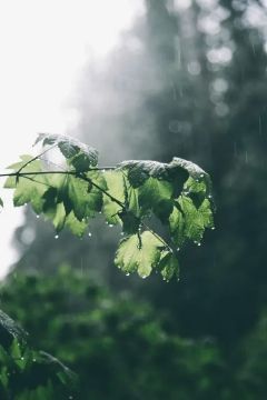 ������ ����. � �� �����, ��� �������