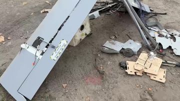 WarGonzo: �������� �������� 5 ����������� ����� � �������