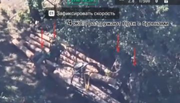 Укреплявшиеся бревнами опорники ВСУ уничтожили в Запорожской области