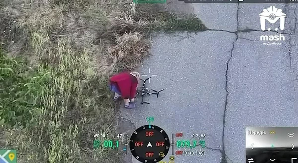 Как русская бабушка ликвидировала боевой FPV-дрон