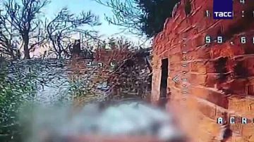 Кадры освобождения Новоандреевки в Запорожской области