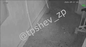 �� �� ������� ���� �� ���������� ������-����������������� ��������� �� ������� "�����" � ���������