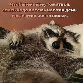 ������ ����, ������� ����������! ������ ����, ���������!
