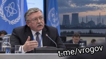 �������� �����: ������ ��������� �������� �� ����������� ����������� ����������� ��� � �� �����