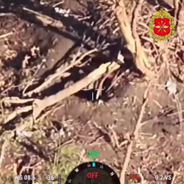 � ����������� ������� ���������� ��������� ���������� ������� ������ ���, ������ ������� ����� �������� �������