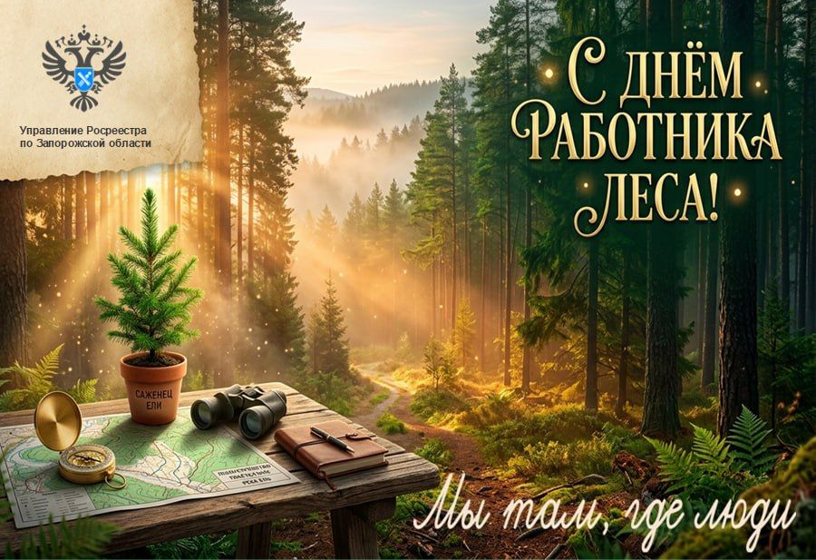Тем, кто посвятил свою жизнь сохранению и рациональному использованию лесных богатств страны