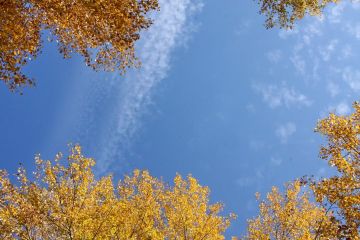 Погода на сегодня, 18 сентября