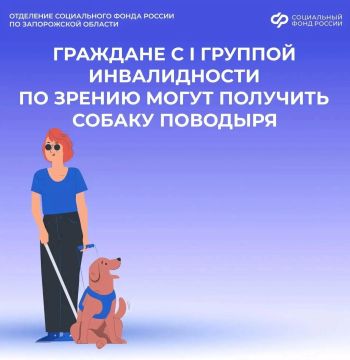 Как получить собаку-поводыря