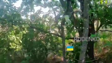 Андрей Руденко: Кадры боевой работы наших военных по освобождению Зелёной Дибровы в Запорожской области