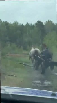 ������ ����!. ���������� ��� ���������� �������, ���������� �� ������, ���������� ��������