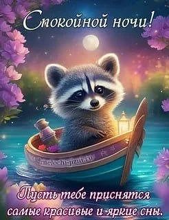 Доброй ночи, дорогие подписчики! Доброй ночи, Запорожье!