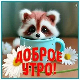 ������ ����, ������! �������� ��� ��� � ��������� ����������!