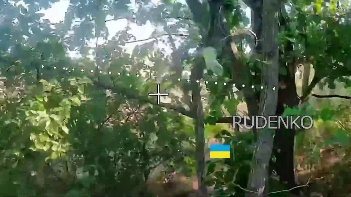 Андрей Руденко: Кадры боевой работы наших военных по освобождению Зелёной Дибровы в Запорожской области