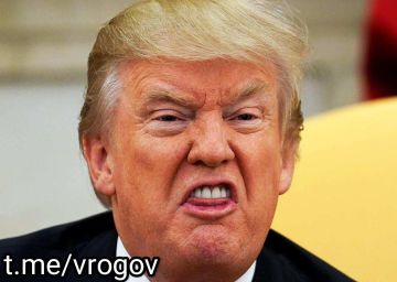Владимир Рогов: Трамп подписал закон об «адских санкциях» против России и Ирана
